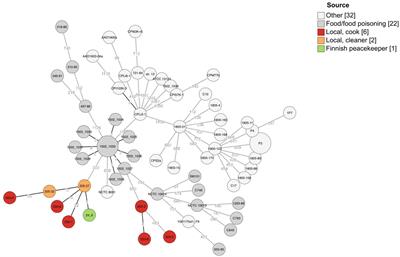 Identification of a new Clostridium perfringens variant with a chromosomally encoded enterotoxin gene in a suspected persistent food poisoning outbreak in Eritrea